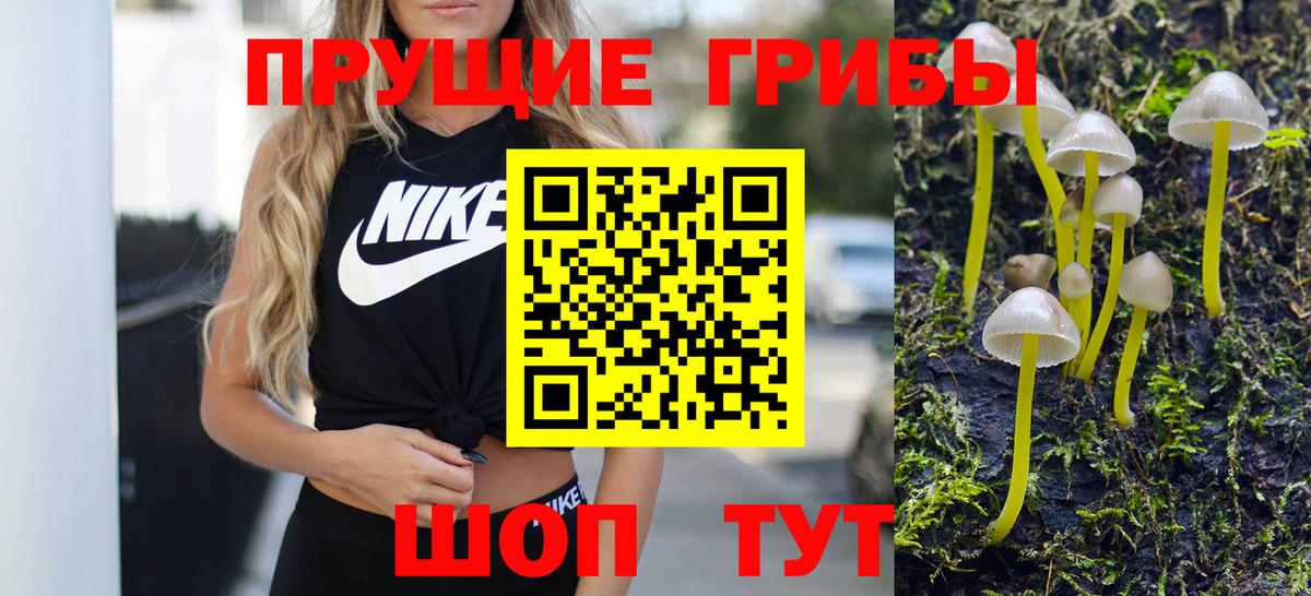 Псилоцибиновые грибы Magic Shrooms Советск